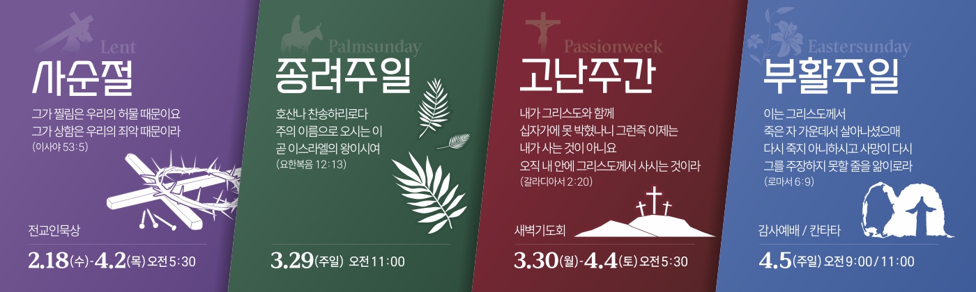 �����_������_061